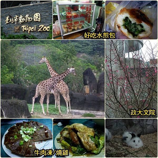 動物園