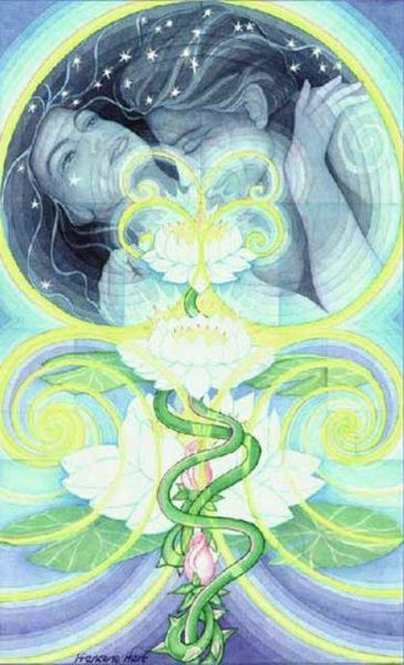 1412833140-3312158149_n (1)