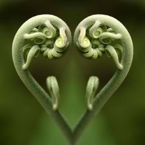 11230224_982905021740640_1913676376605186795_n