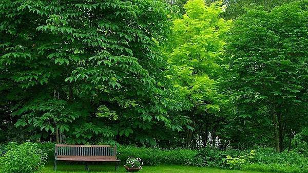 10325160_482111415275341_6012857773348482245_n