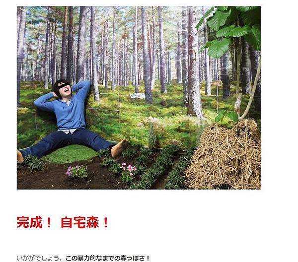 Es 淘寶森林風掛布 雪花台湾 Es 淘寶森林風掛布 雪花台湾