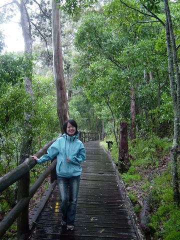 Noosa國家公園步道