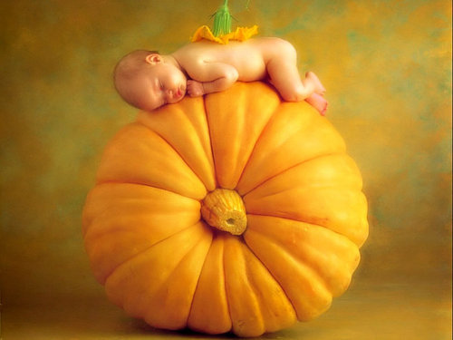 Anne Geddes-01.jpg