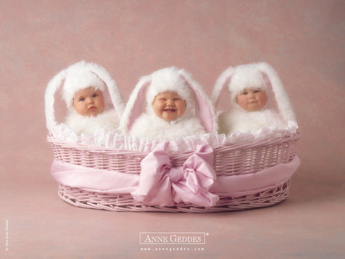 Anne Geddes-04.jpg