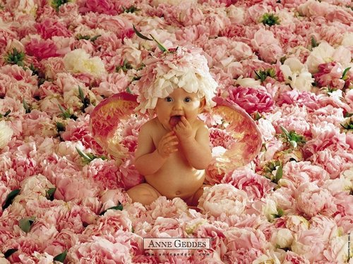 Anne Geddes-07.jpg