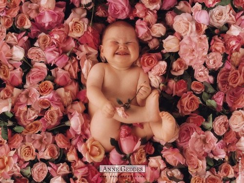 Anne Geddes-09.jpg