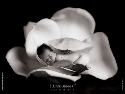 Anne Geddes-14.jpg