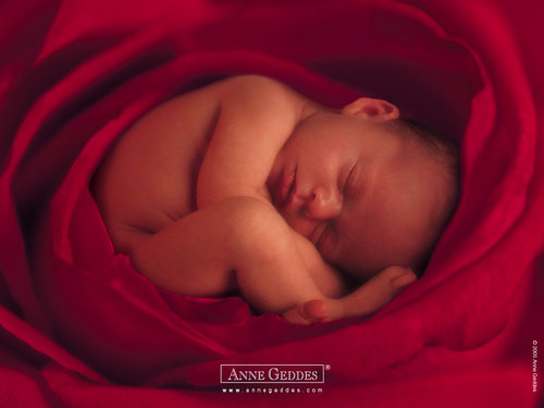 Anne Geddes-13.jpg