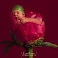 Anne Geddes-15.jpg