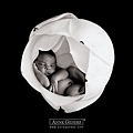 Anne Geddes-17.jpg