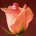 Anne Geddes-22.jpg