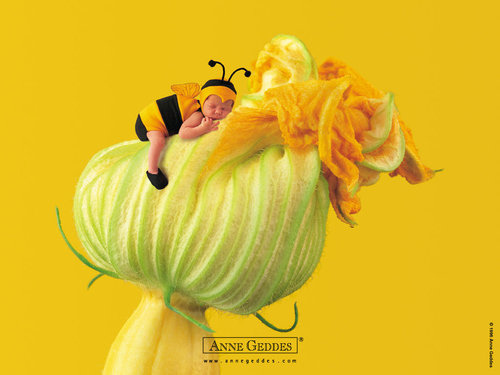 Anne Geddes-25.jpg