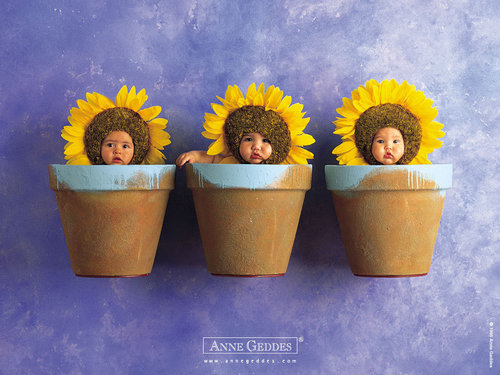 Anne Geddes-26.jpg