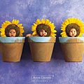 Anne Geddes-26.jpg