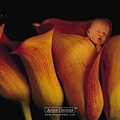 Anne Geddes-28.jpg