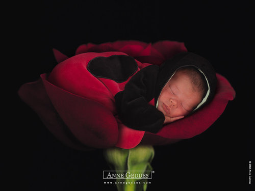 Anne Geddes-39.jpg