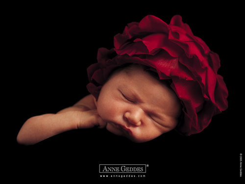 Anne Geddes-44.jpg