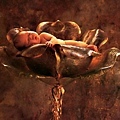 Anne Geddes-45.jpg