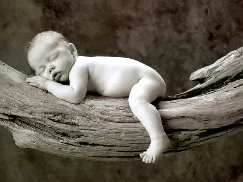 Anne Geddes-50.jpg