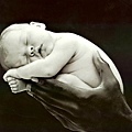 Anne Geddes-51.jpg