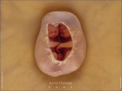 Anne Geddes-59.jpg