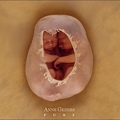 Anne Geddes-59.jpg