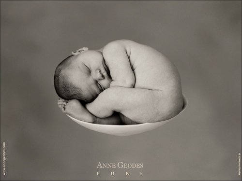 Anne Geddes-63.jpg