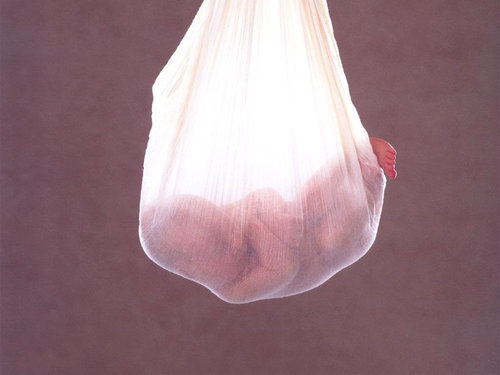 Anne Geddes-66.jpg