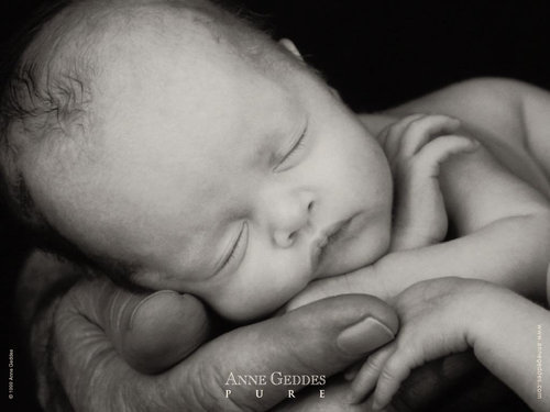 Anne Geddes-72.jpg