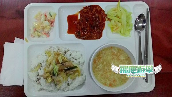 PINES ACADEMY (PIA)新餐點