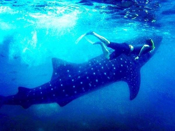 【菲律賓遊學】English Fella Andrew 遊學心得分享-飛鷹遊學 3 【菲律賓遊學】English Fella Andrew 遊學心得分享-飛鷹遊學