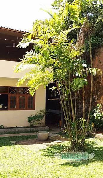 跟我們一起斯里蘭卡志工學習去~星期日 4 跟我們一起斯里蘭卡志工學習去~星期日