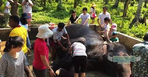 跟我們一起斯里蘭卡志工學習去~星期一、星期二