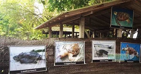 跟我們一起斯里蘭卡志工學習去~星期三 1 跟我們一起斯里蘭卡志工學習去~星期三