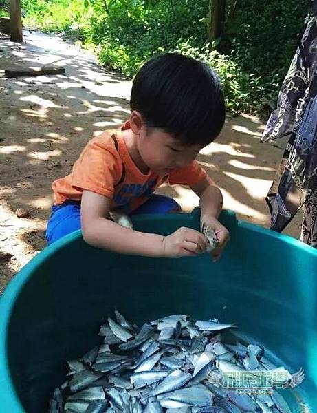 跟我們一起斯里蘭卡志工學習去~星期三