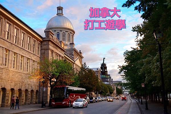 S__66437142 S__66437142