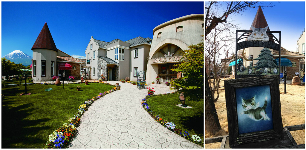 FotorCrjjeated FotorCrjjeated