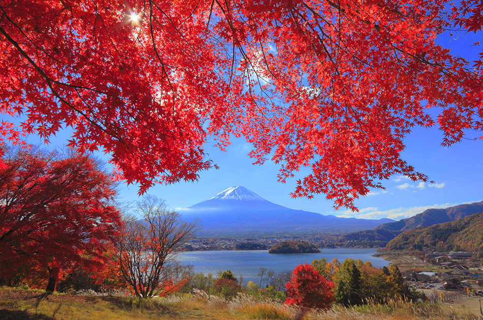 aflo_AXHA020390 aflo_AXHA020390