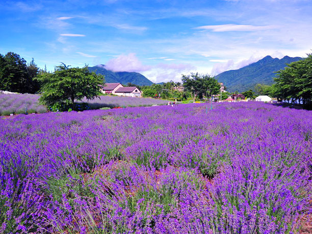 yagisaki-park_01 yagisaki-park_01