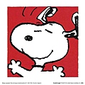 snoopy-2.jpg