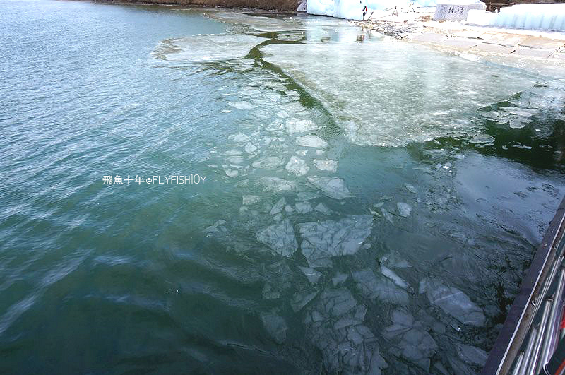 韓國首爾。搭ITX青春列車前進冬季戀歌拍攝地 南怡島(남이섬