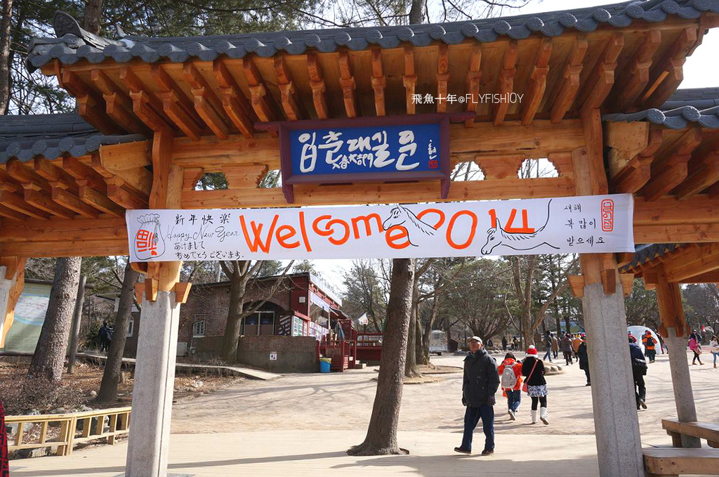 韓國首爾。搭ITX青春列車前進冬季戀歌拍攝地 南怡島(남이섬