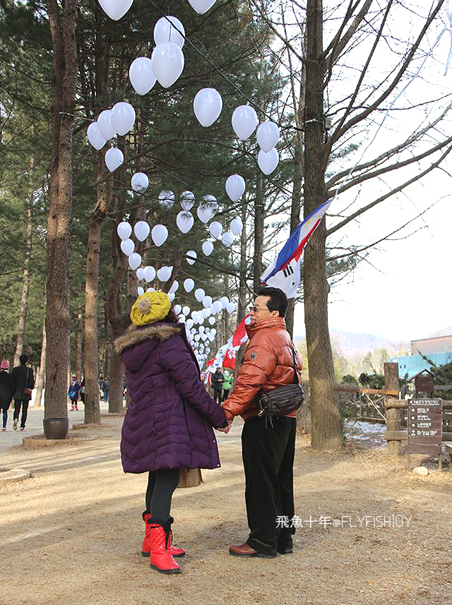 韓國首爾。搭ITX青春列車前進冬季戀歌拍攝地 南怡島(남이섬