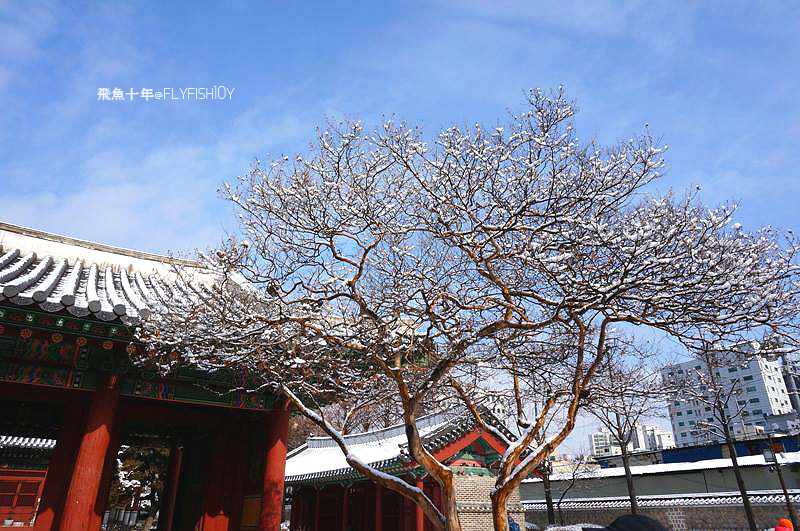 韓國首爾。下大雪的東廟、南山谷韓屋村(남산골한옥마을)、 土