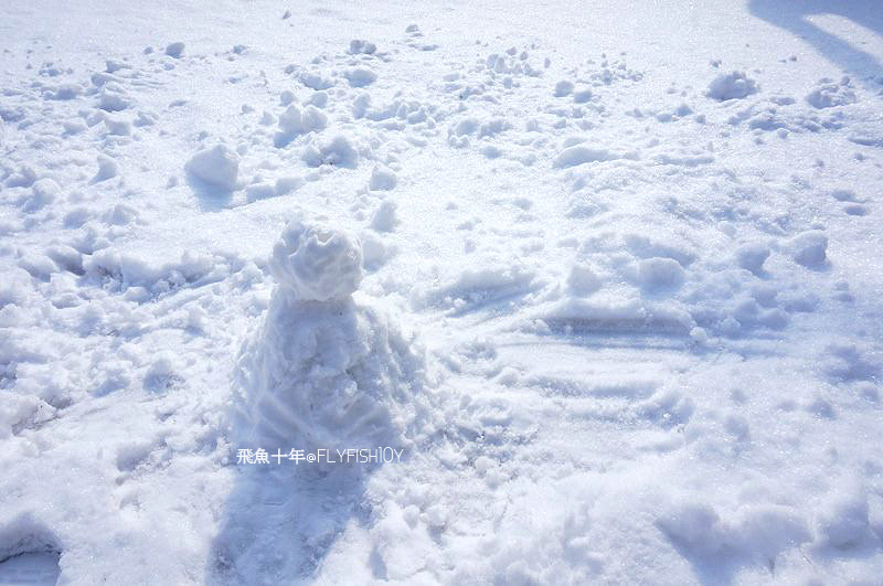 韓國首爾。下大雪的東廟、南山谷韓屋村(남산골한옥마을)、 土