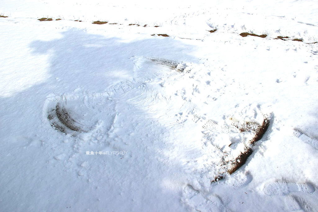 韓國首爾。下大雪的東廟、南山谷韓屋村(남산골한옥마을)、 土