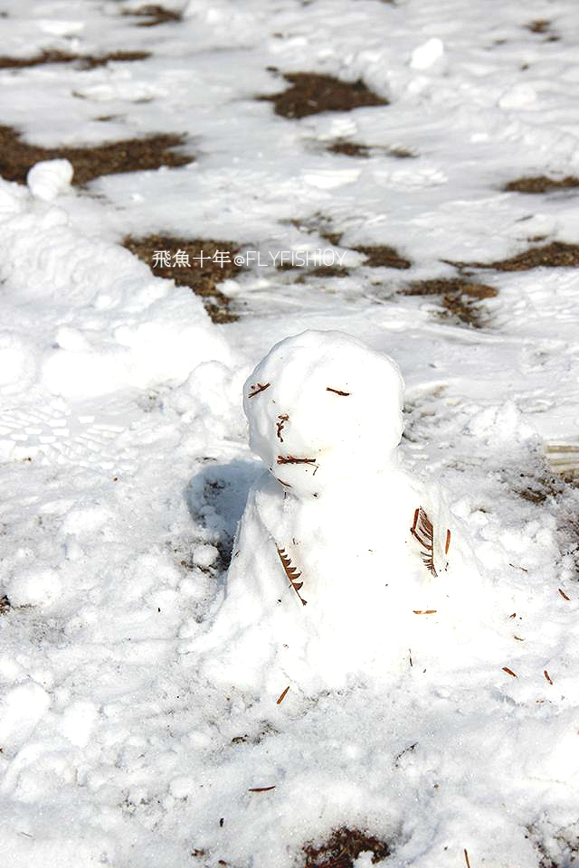 韓國首爾。下大雪的東廟、南山谷韓屋村(남산골한옥마을)、 土