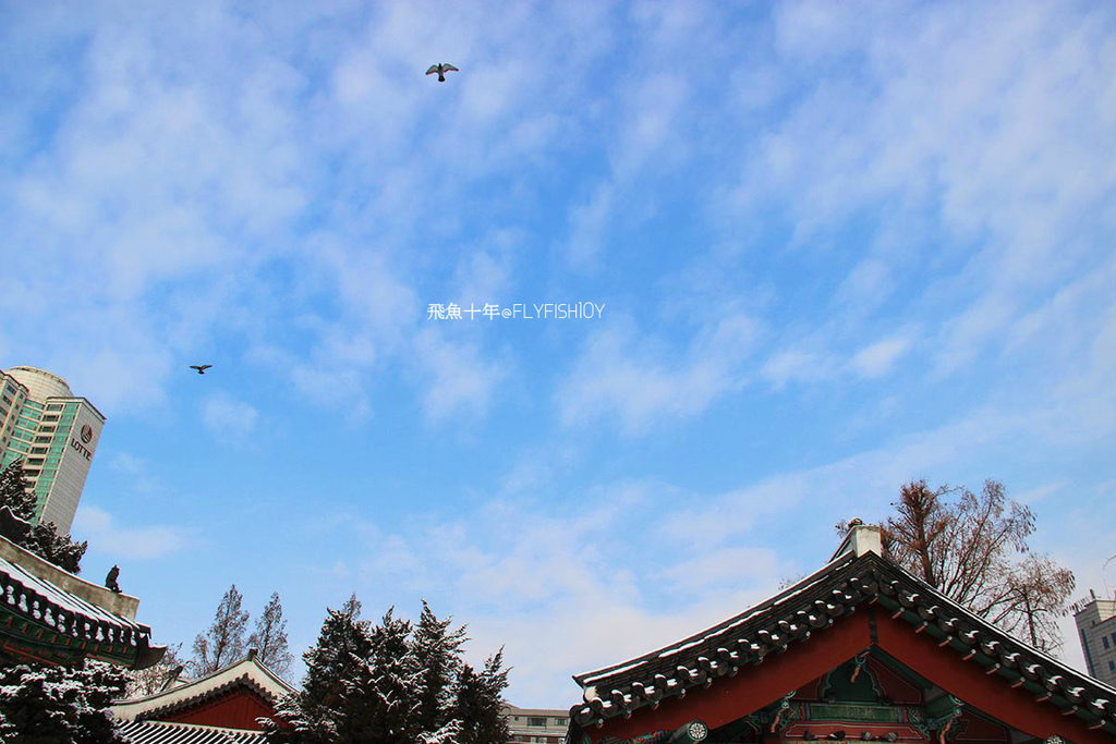 韓國首爾。下大雪的東廟、南山谷韓屋村(남산골한옥마을)、 土