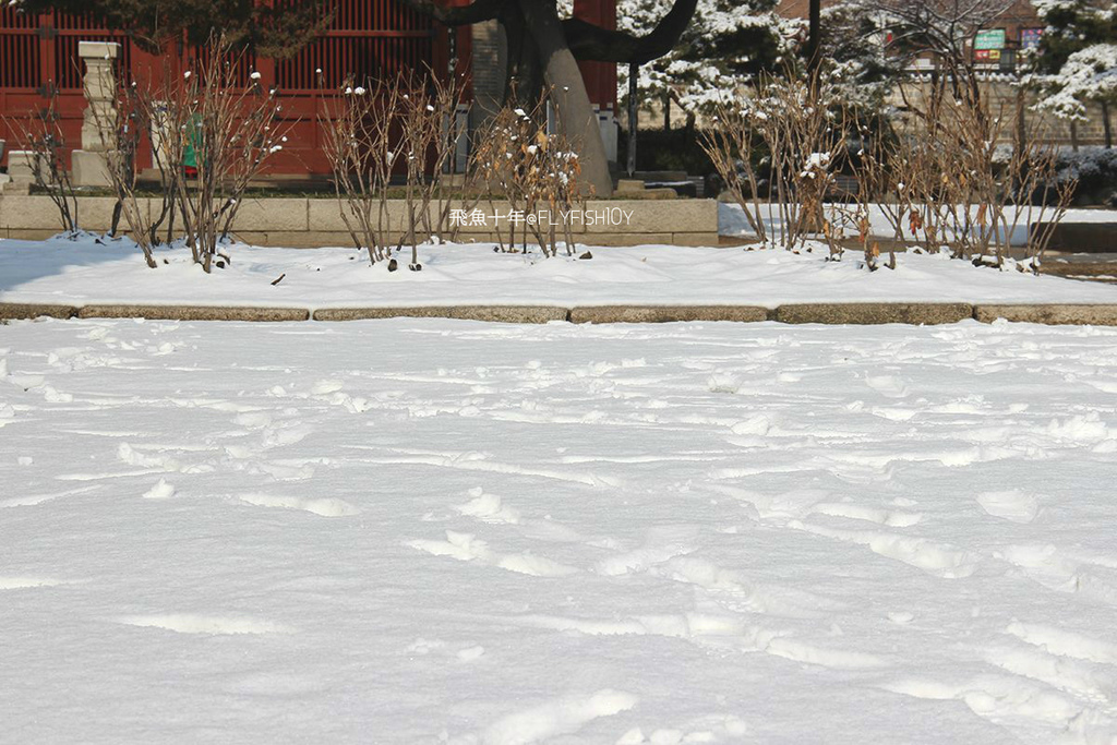 韓國首爾。下大雪的東廟、南山谷韓屋村(남산골한옥마을)、 土