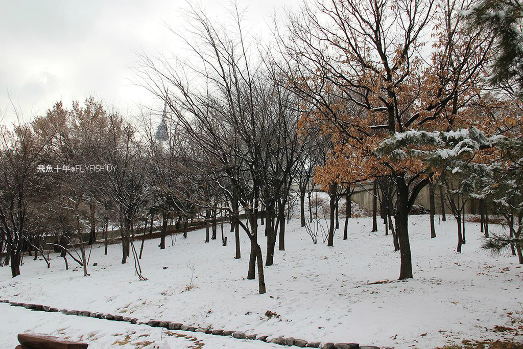 韓國首爾。下大雪的東廟、南山谷韓屋村(남산골한옥마을)、 土